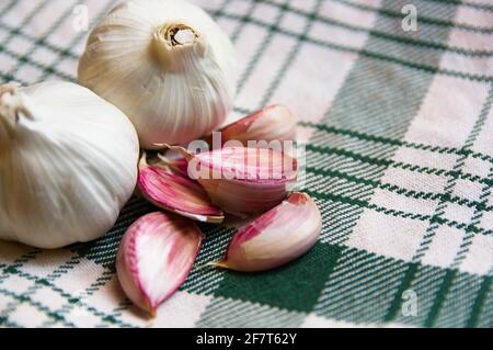 Nahaufnahme eines Knoblauchkopfes neben etwas losem Zähne auf einem grünen und weißen Küchentuch Stockfoto