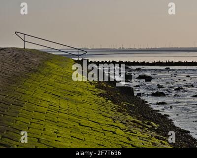 Sonnenuntergang auf der Bohrinsel - Dyksterhusen - Ostfriesland - Niederösterreich Sachsen - grünes Moos im Vordergrund Stockfoto