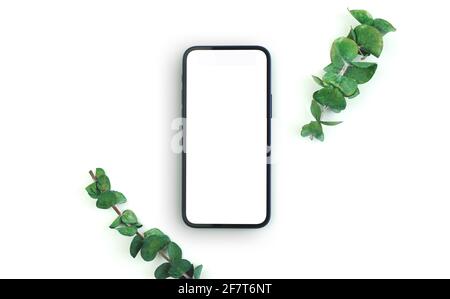 Bildschirm flach Lay Mockup, Handy leeren Bildschirm mit grünen Ästen, floralen Hintergrund Foto Stockfoto