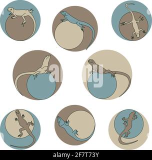 Satz von verschiedenen Eidechsen runden Rahmen Erdfarben Vektor-Illustration Stock Vektor