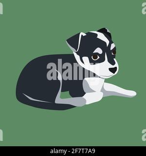 Kleiner schwarz-weißer Hund wie Jack russel Terrier in Die Vektorgrafik mit flachem Stil Stock Vektor