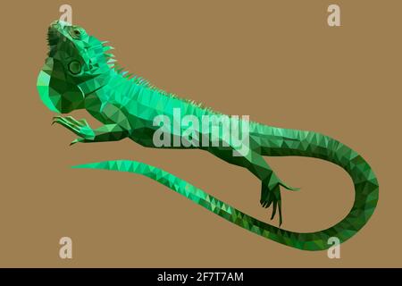 Eidechse Leguan in Low-Poly-Technik Vektor-Illustration Stock Vektor