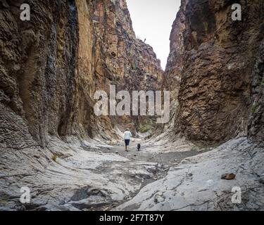 Frau und Hund wandern entlang des getrockneten Flussbetts, Big Bend National Park, TX Stockfoto