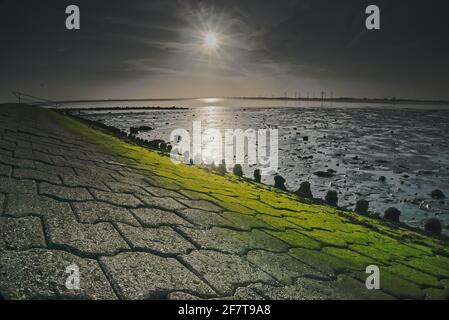 Sonnenuntergang auf der Bohrinsel - Dyksterhusen - Ostfriesland - Niederösterreich Sachsen - grünes Moos im Vordergrund Stockfoto