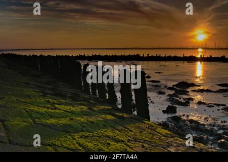 Sonnenuntergang auf der Bohrinsel - Dyksterhusen - Ostfriesland - Niederösterreich Sachsen - grünes Moos im Vordergrund Stockfoto