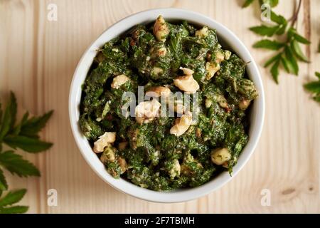 Pesto aus jungen Blättern von Goutweed - ein wildes Essbare Pflanze wächst im Frühjahr Stockfoto