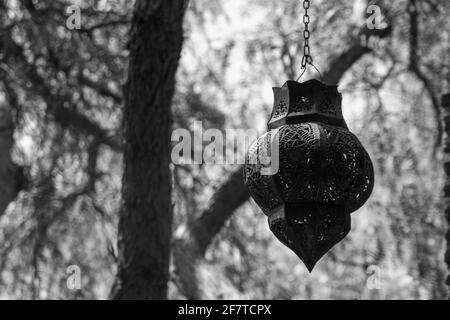 Nahaufnahme einer alten Metalllampe, die an einer Kette hängt Mit Kiefernstämmen und Zweigen im Hintergrund auf einem Sonniger Tag Stockfoto