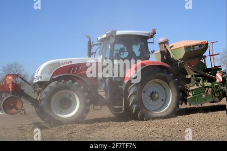 11.30 Dienstag, 30. März 2021. Hintergasse, Saulheim, Rheinland-Pfalz, Deutschland. Traktor pflügt und sät Samen auf einem landwirtschaftlichen Feld auf einem Stockfoto