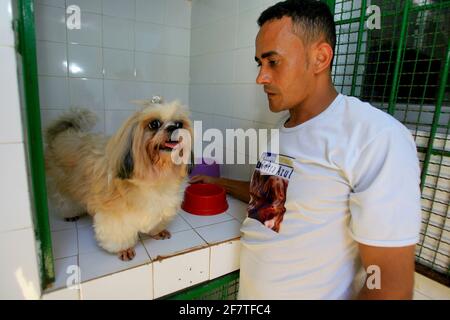 salvador, bahia / brasilien - 31. dezember 2013: Der Klinikführer kümmert sich um einen Hund, der vor Ort gehostet wird. *** Ortsüberschrift *** . Stockfoto