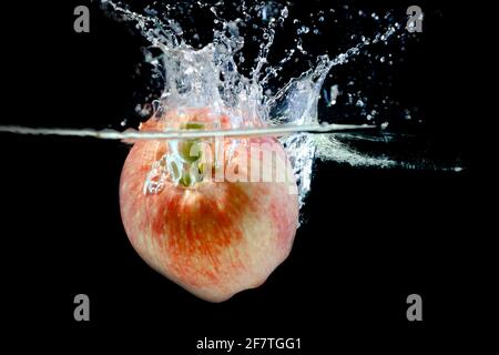 Reifer roter Apfel fiel mit Spritzern ins Wasser Stockfoto