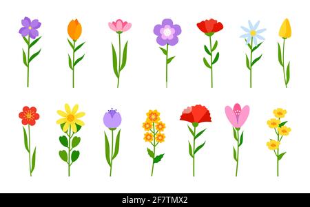 Verschiedene farbige Blumen in flachen Cartoon-Stil gesetzt. Romantische Einrichtung mit Blumenmustern. Frühlingszartuppe, Narzissen oder Gänseblümchen am Stiel. Einfache Blume mit grünem Ast und Blatt. Blüte Pflanze isoliert Vektor-Illustration Stock Vektor