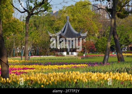 Helle und lebendige Frühlingsfarben in einem chinesischen öffentlichen Park. Dieser befindet sich am Rande des Nan Hu oder Südsees in Jiaxing. Stockfoto