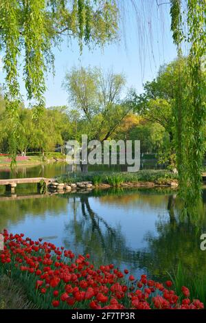 Helle und lebendige Frühlingsfarben in einem chinesischen öffentlichen Park. Dieser befindet sich am Rande des Nan Hu oder Südsees in Jiaxing. Stockfoto