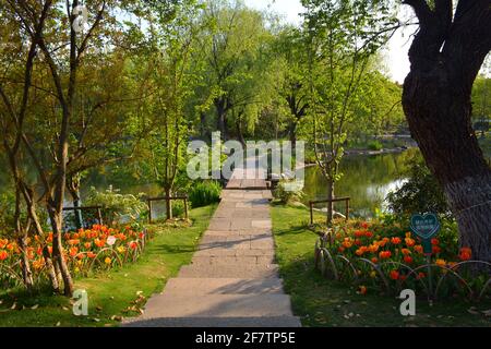 Helle und lebendige Frühlingsfarben in einem chinesischen öffentlichen Park. Dieser befindet sich am Rande des Nan Hu oder Südsees in Jiaxing. Stockfoto