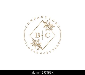 BC Letters schöne floral feminin editierbar vorgefertigten Monoline Logo geeignet für Spa Salon Haut Haar Schönheit Boutique und Kosmetik Unternehmen. Stock Vektor