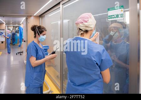 Barcelona, Spanien. April 2021. Medizinisches Personal kommuniziert mit Kollegen in einer Station in einem Krankenhaus in Barcelona, Spanien, 8. April 2021. Laut dem Dashboard des Regionalbüros der Weltgesundheitsorganisation für Europa übertrafen COVID-19-Todesfälle in Europa am Freitag die Marke von einer Million und erreichten 1,001,313. Quelle: Francisco Avia/Xinhua/Alamy Live News Stockfoto