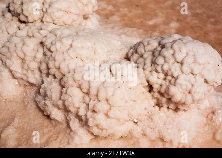 Großes Salz auf einem rosa See in Kasachstan Stockfoto