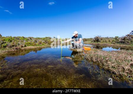 Wissenschaftler, die die Parameter der Wasserqualität in einem Feuchtgebiet messen. Stockfoto