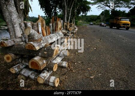 itabuna, bahia / brasilien - 19. juni 2012: Lagerfeuer von Sao Joao zum Verkauf auf der Autobahn BR 415 in der Stadt Itabuna. *** Ortsüberschrift *** Stockfoto