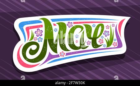 Vektor-Banner für Mai, weißes Abzeichen mit lockiger kalligraphischer Schrift, Zierstreifen und Illustration von bunten Blumen, Frühlingssymbol mit swir Stock Vektor