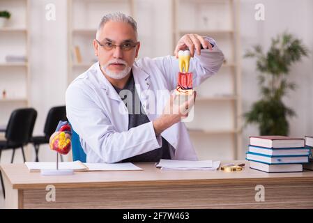 Alte Zahnarztlehrerin sitzt im Klassenzimmer Stockfoto