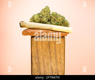 Ein verbranntes, handgewalztes Marihuana Joint gleicht auf rotem Sandstein mit zwei großen Marihuana-Knospen aus. Auf einem Holzständer gegen ein pfirsichfarbenes b geschossen Stockfoto