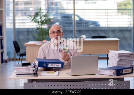 Erfahrener männlicher Buchhalter im Budgetplanungskonzept Stockfoto