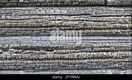 Hintergrund verbranntes Holz (nicht zerstört), auf der Oberfläche gebrannt log, Holzkohle Stockfoto