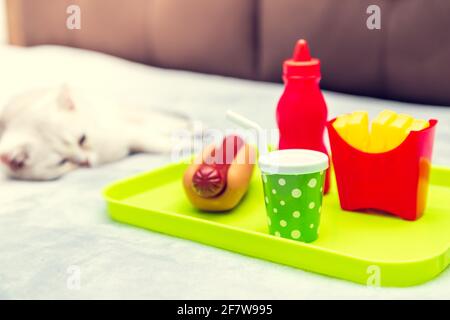 Das weiße Kätzchen liegt auf dem Bett. Neben ihm auf einem Tablett ist Spielzeug-Plastikfutter - Hot Dog, Pommes, Glas, Ketchup. Schlechtes Lifestyle-Konzept - Immobilität und Stockfoto