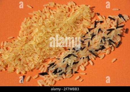 Zwei Reissorten in einer Reihe auf buntem Papier Hintergrund Stockfoto