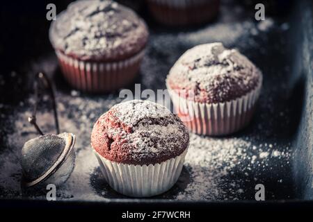 Hausgemachte Schokoladenmuffin mit Puderzucker auf einem alten Backblech hausgemachte Süßigkeiten. Schokoladenkuchen mit Nüssen. Stockfoto