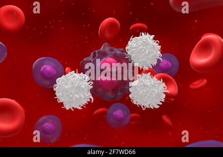 Aktivierte T-Zellen angreifen und zerstören eine geteilte Lymphom-Zelle 3d Darstellung rendern Stockfoto