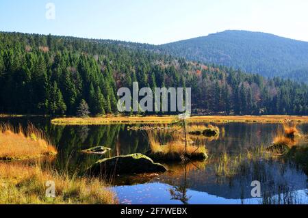 Moränensee kleiner Arbersee mit dem Gross Arber im Nationalpark Bayerischer Wald. Herbstlandschaft in Deutschland. Stockfoto