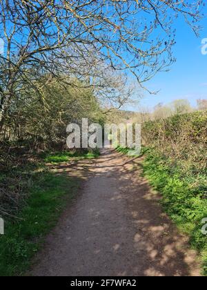 Blick auf einen Landweg in Cofton Hackett Stockfoto