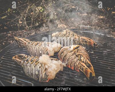 Spieß Hummer gekocht und gegrillt auf einem Grill in Ein Garten Stockfoto