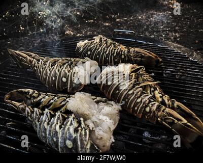 Spieß Hummer gekocht und gegrillt auf einem Grill in Ein Garten Stockfoto