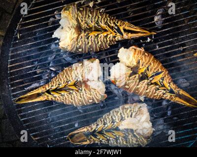 Spieß Hummer gekocht und gegrillt auf einem Grill in Ein Garten Stockfoto