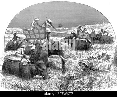 Gravur einer Tiger-Schießexpedition im unteren bengalen, indien, um 1879 Stockfoto