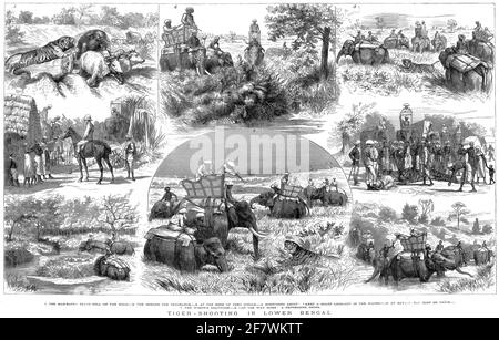 Gravur mehrerer Szenen aus einer Tiger-Schießexpedition im unteren bengalen, indien, um 1879 Stockfoto