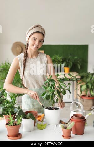 Junge Frau kümmert sich um ihre Pflanzen zu Hause Stockfoto