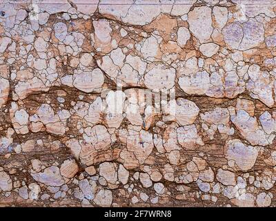 Oold strukturierte Oberfläche aus rotem Verona Marmor, Venedig, Italien Stockfoto