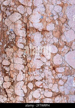 Alte strukturierte Oberfläche aus rotem Verona Marmor, Venedig, Italien Stockfoto