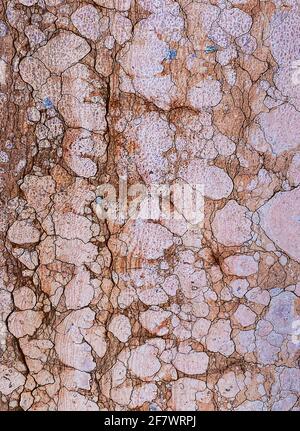 Alte strukturierte Oberfläche aus rotem Verona Marmor Stockfoto