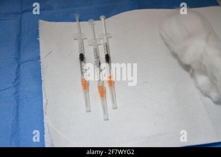 Gebrauchsfertige Spritzen, die den impfstoff pfizer-biontech oder astrazeneca enthalten. Stockfoto