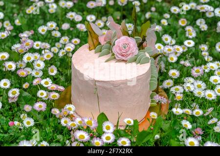 Beeindruckende pastellfarbene, unkonventionelle vegane Tarte auf einer Frühlingsblumenwiese. Erhöhte Ansicht, Nahaufnahme, selektiver Fokus. Konzept von gesund Stockfoto