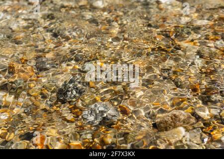 Helle goldene Steine am Fuße eines klaren Baches. Abstraktes Muster aus Kieselsteinen unter der Wasseroberfläche. Hintergrund. Stockfoto