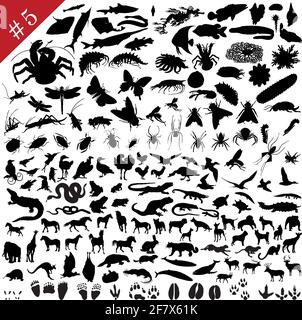 # 5 Satz von verschiedenen Tieren, Vögel, Insekten und Fische Vector Silhouetten Stock Vektor