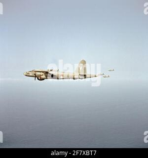 Lockheed P2V-7B, P-2H und SP-2H Neptune Maritime Patrol liefert (1961-1982) in Formation. Stockfoto