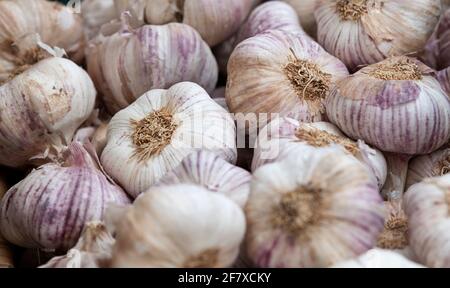 Ungeschälte Knoblauchstapel-Display-Ständer Stockfoto