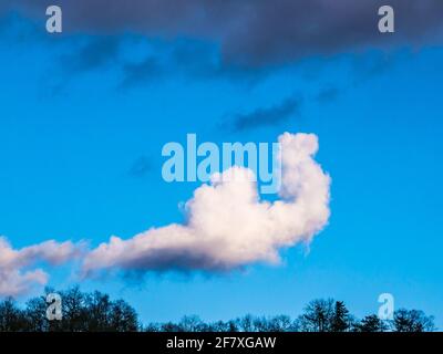 Traumhafte Wolke in Form eines Drachen oder einer Schnecke usw. Stockfoto